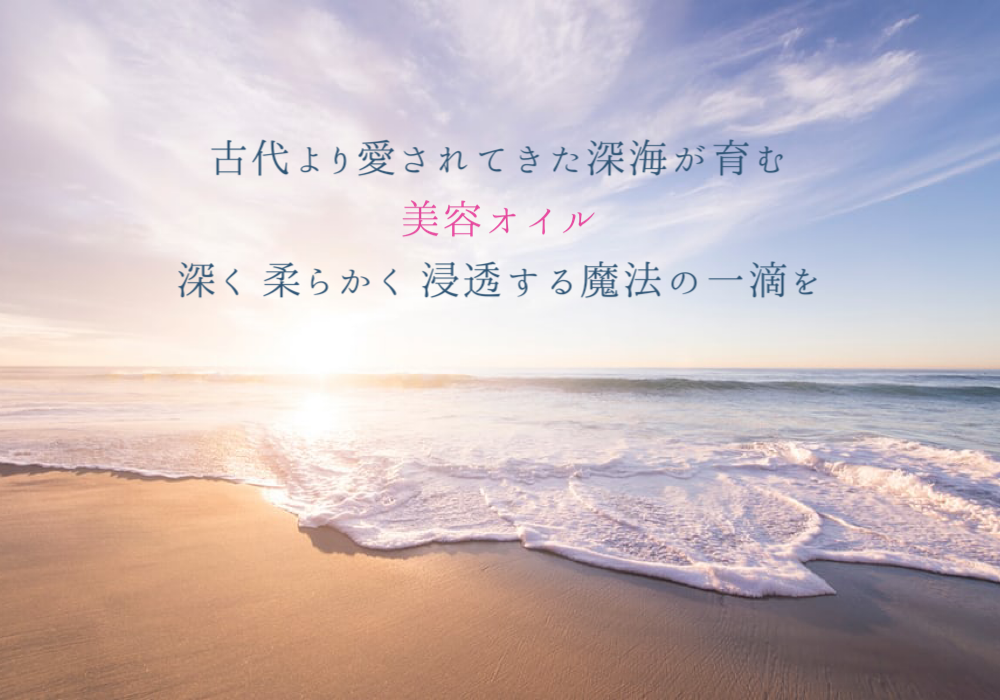 BB68F2CE-09A7-459E-8C01-180E3007CD85